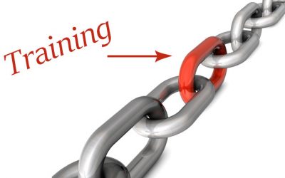 Training… The Missing Link